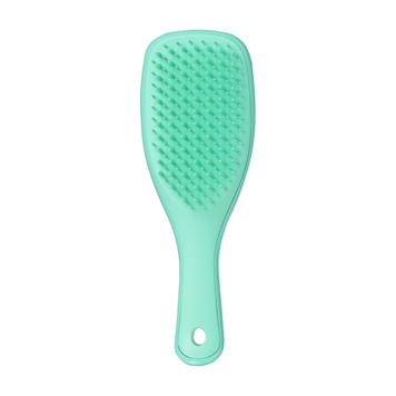 №12 Щітка для волосся Tangle Teezer The Wet Detangler Mini Green Lizard TANG0014 фото
